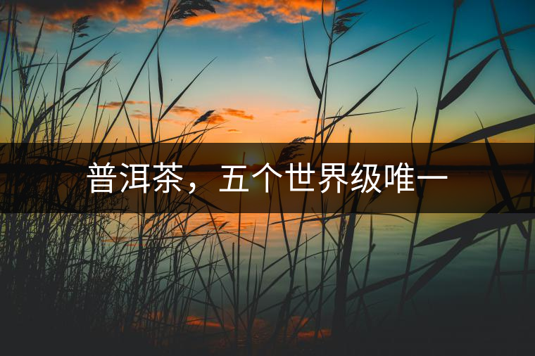 普洱茶，五個(gè)世界級(jí)唯一