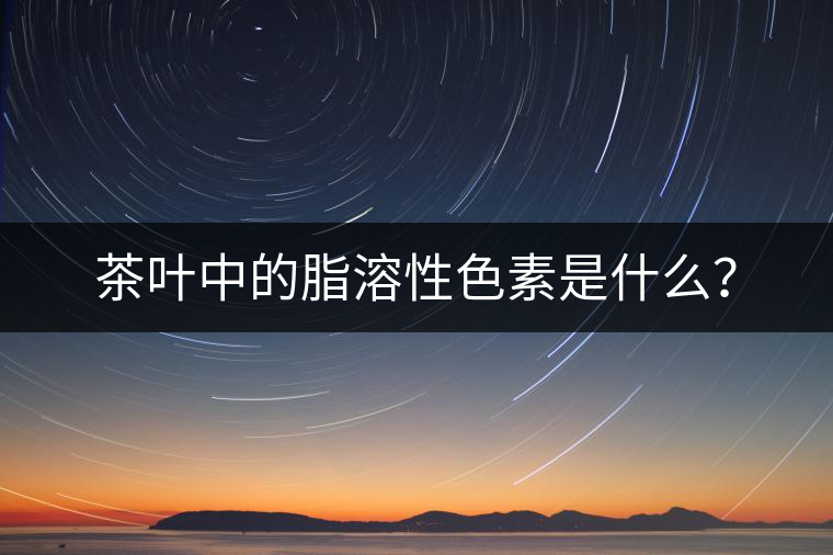 茶葉中的脂溶性色素是什么？
