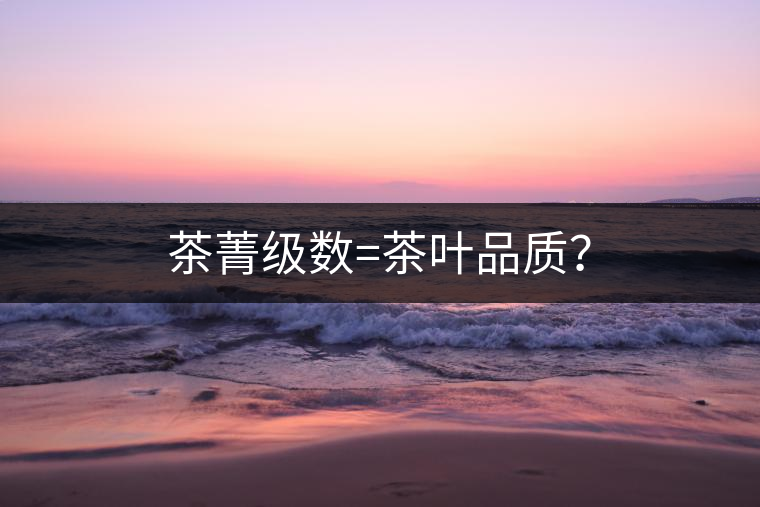 茶菁級(jí)數(shù)=茶葉品質(zhì)？