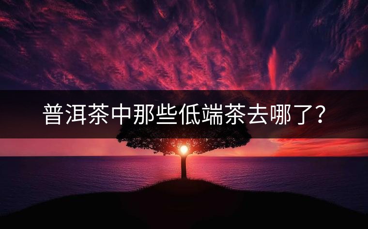 普洱茶中那些低端茶去哪了？