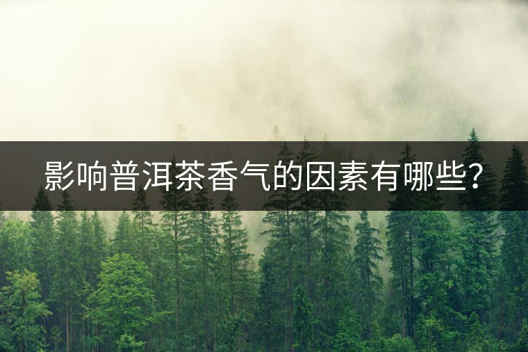 影響普洱茶香氣的因素有哪些？