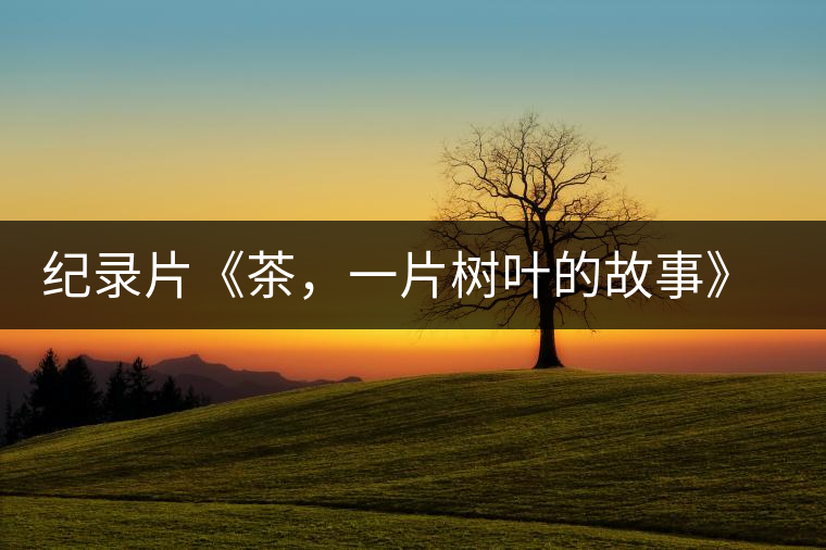 紀(jì)錄片《茶，一片樹(shù)葉的故事》 茶文化的詩(shī)意追尋