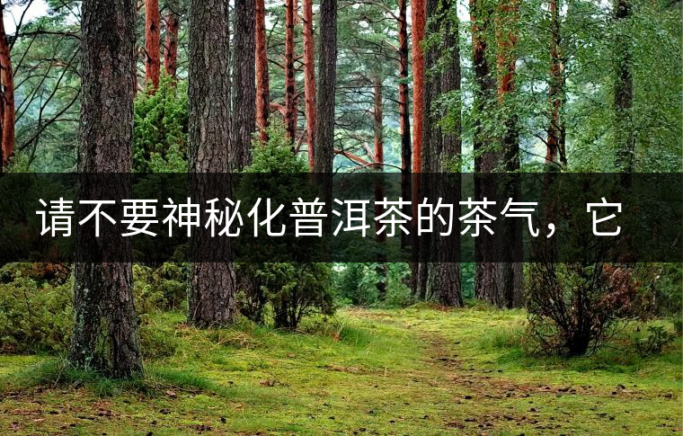 請(qǐng)不要神秘化普洱茶的茶氣，它是科學(xué)的存在