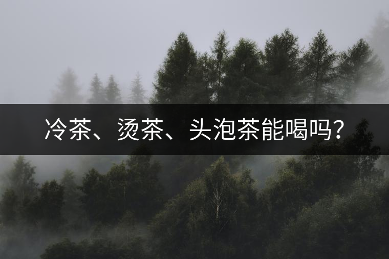 冷茶、燙茶、頭泡茶能喝嗎？