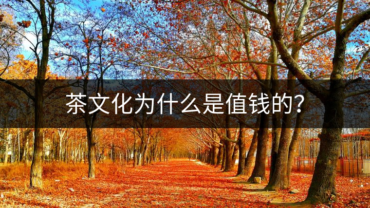 茶文化為什么是值錢的？