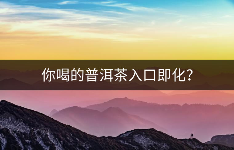 你喝的普洱茶入口即化？