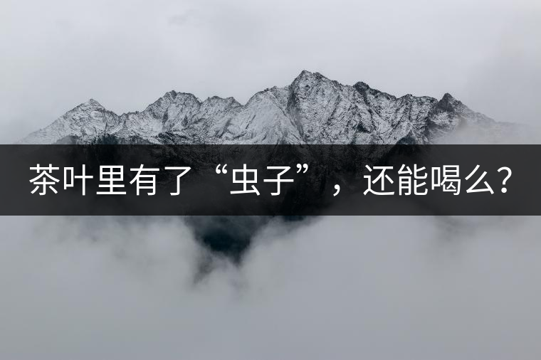 茶葉里有了“蟲子”，還能喝么？