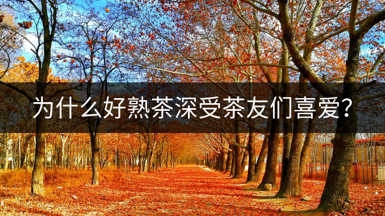 為什么好熟茶深受茶友們喜愛？