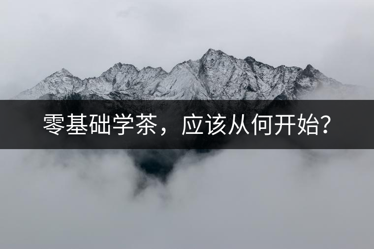 零基礎(chǔ)學(xué)茶，應(yīng)該從何開始？