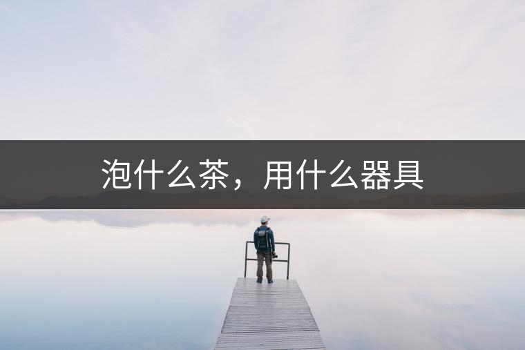 泡什么茶，用什么器具