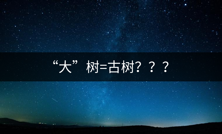 “大”樹=古樹？？？