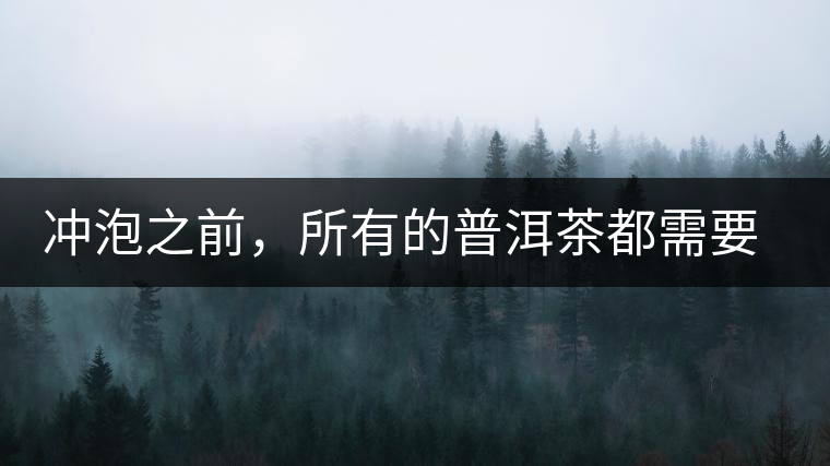 沖泡之前，所有的普洱茶都需要醒茶嗎？