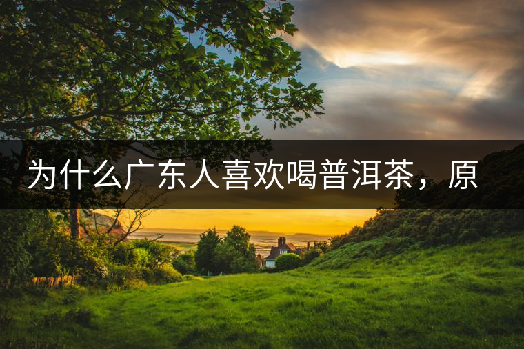 為什么廣東人喜歡喝普洱茶，原因你絕對(duì)想不到！