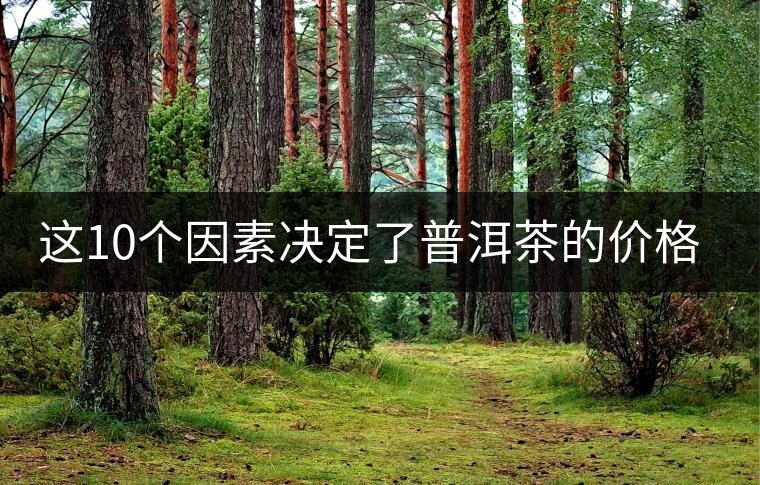 這10個(gè)因素決定了普洱茶的價(jià)格？