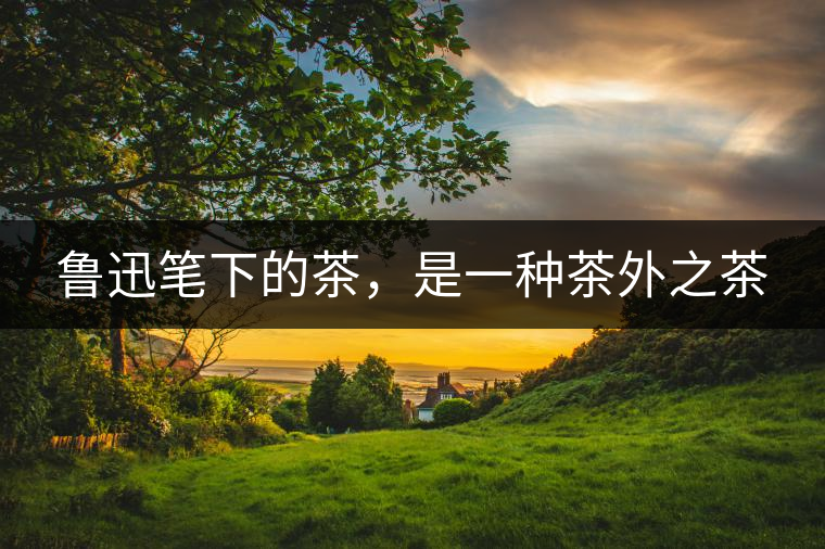 魯迅筆下的茶，是一種茶外之茶