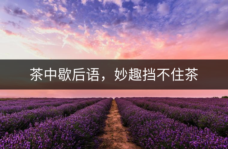 茶中歇后語，妙趣擋不住茶
