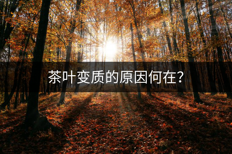 茶葉變質(zhì)的原因何在？