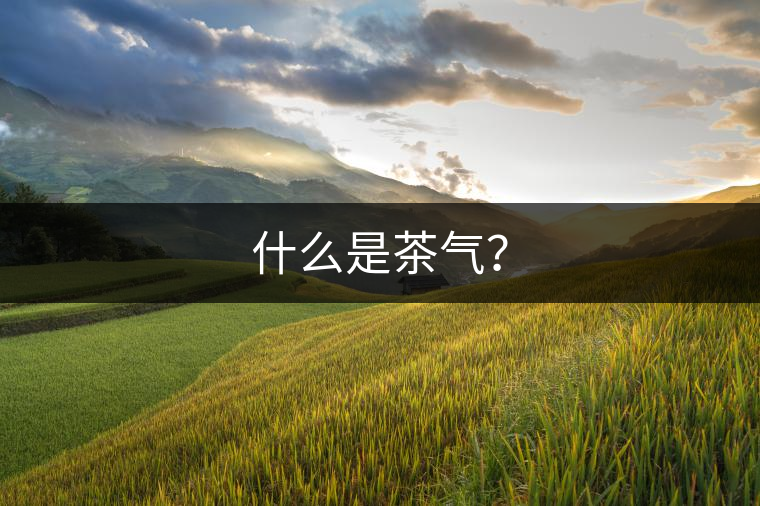 什么是茶氣？