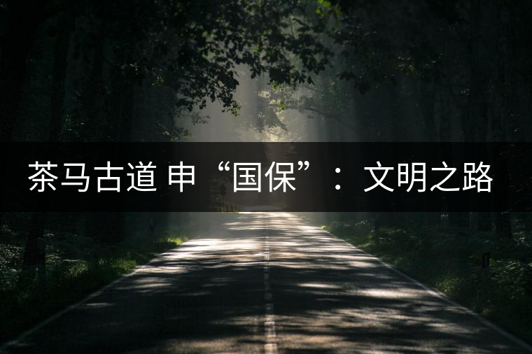 茶馬古道 申“國?！保何拿髦返脑侔l(fā)現(xiàn)