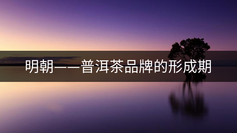 明朝——普洱茶品牌的形成期