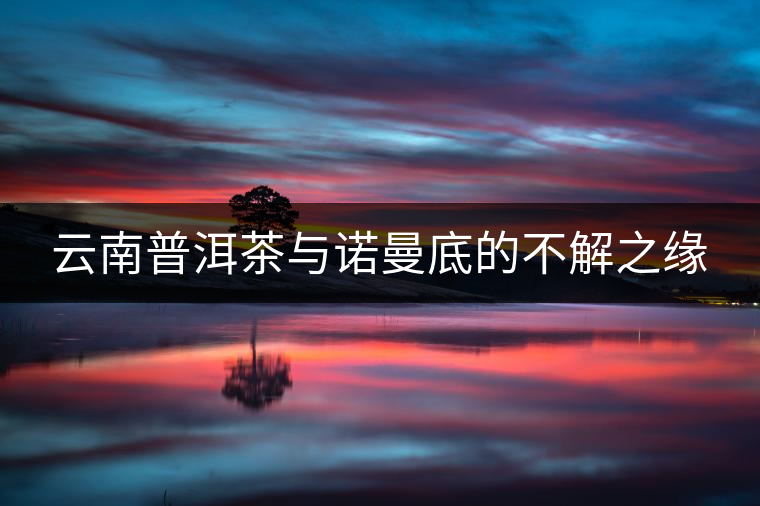 云南普洱茶與諾曼底的不解之緣