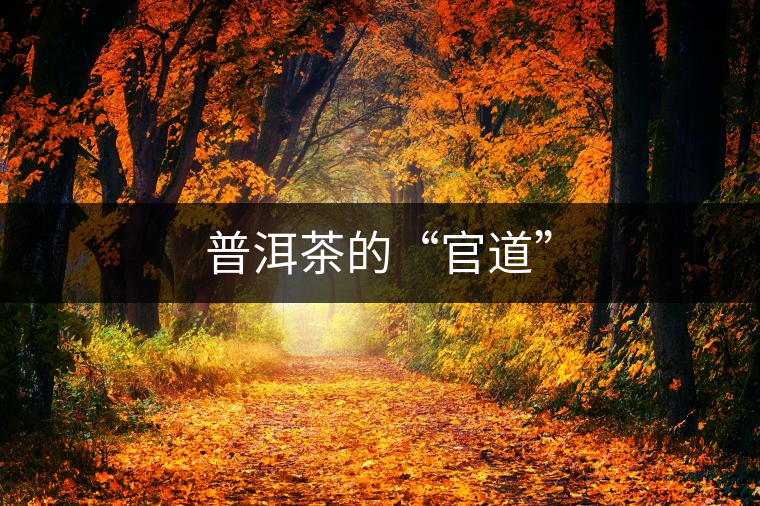 普洱茶的“官道”
