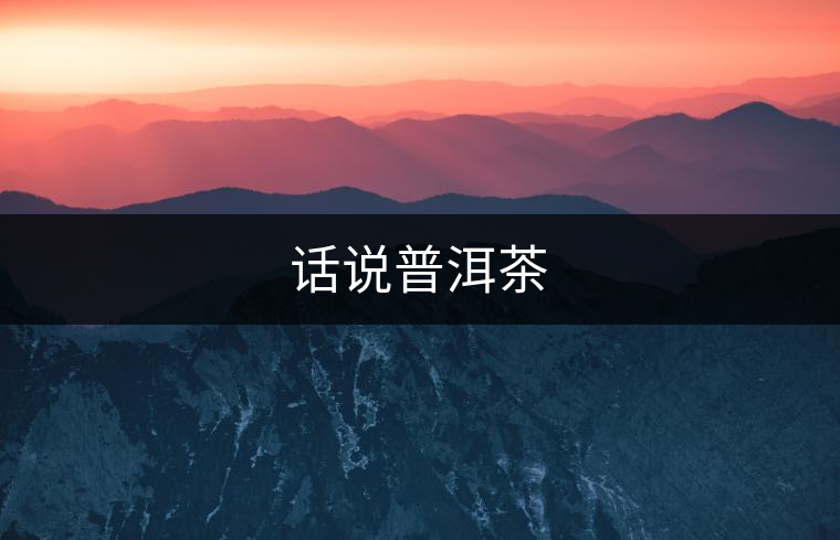 話(huà)說(shuō)普洱茶