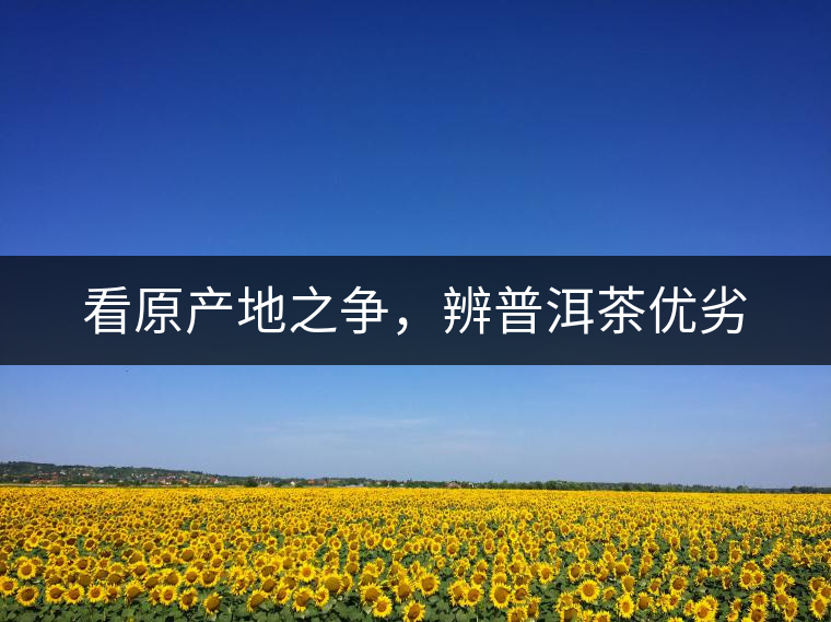 看原產(chǎn)地之爭(zhēng)，辨普洱茶優(yōu)劣