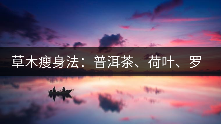 草木瘦身法：普洱茶、荷葉、羅漢果