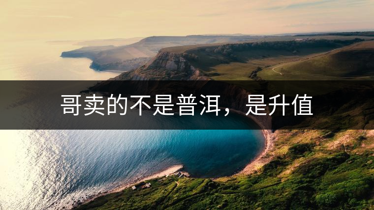 哥賣的不是普洱，是升值