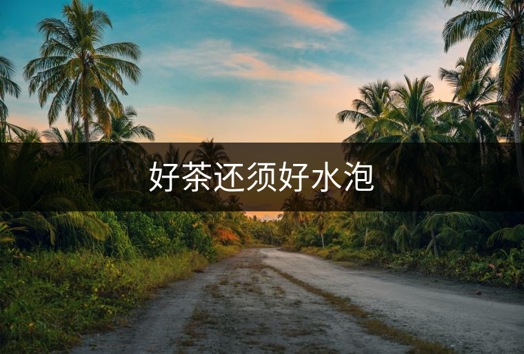 好茶還須好水泡