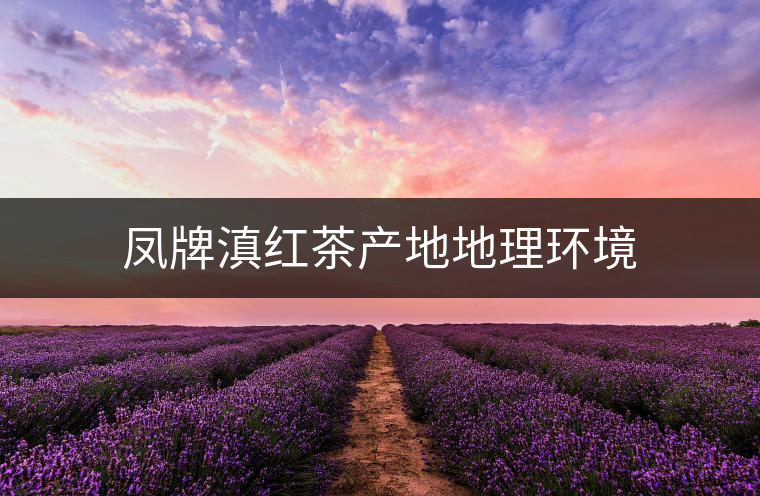 鳳牌滇紅茶產地地理環(huán)境
