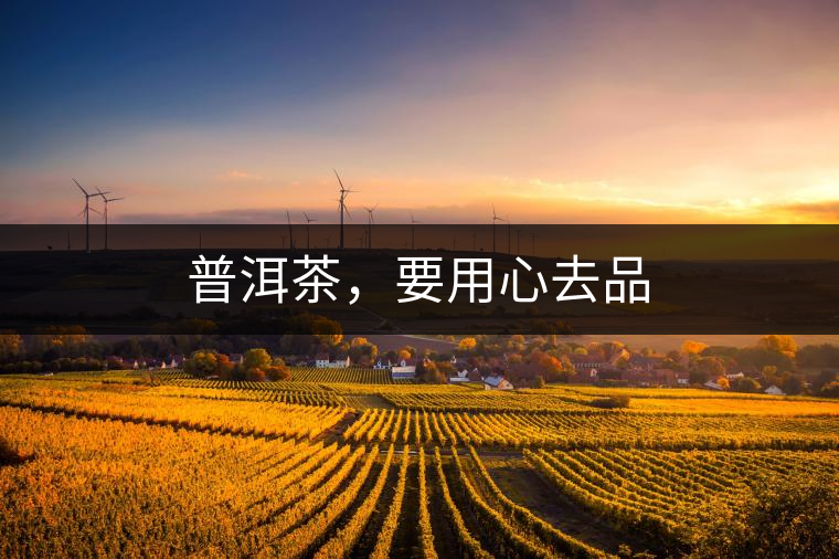 普洱茶，要用心去品