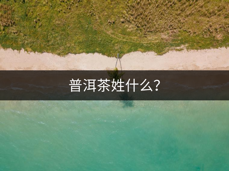 普洱茶姓什么？