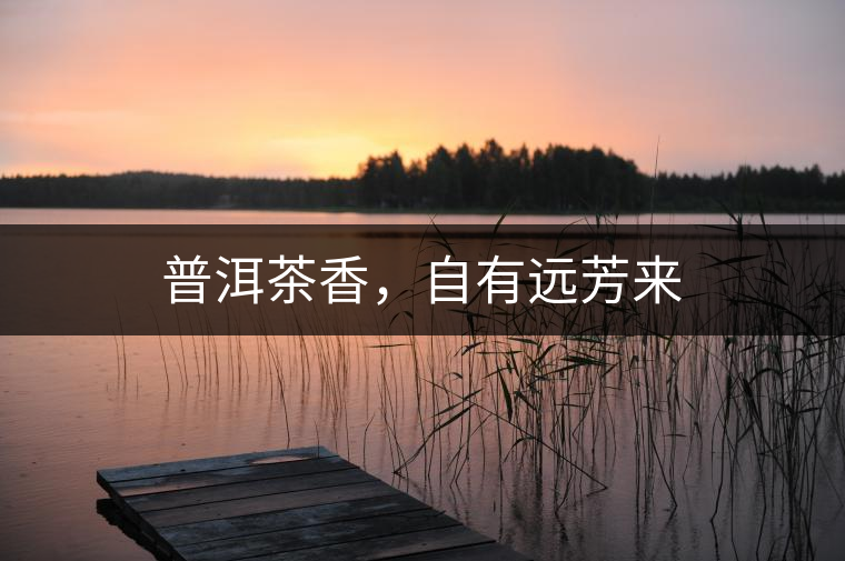 普洱茶香，自有遠芳來