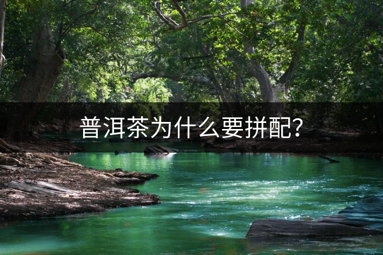 普洱茶為什么要拼配？