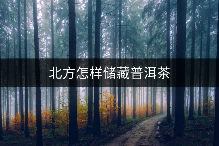 北方怎樣儲(chǔ)藏普洱茶 北方怎樣儲(chǔ)藏普洱茶