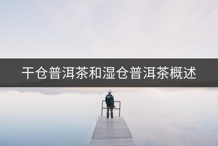 干倉(cāng)普洱茶和濕倉(cāng)普洱茶概述