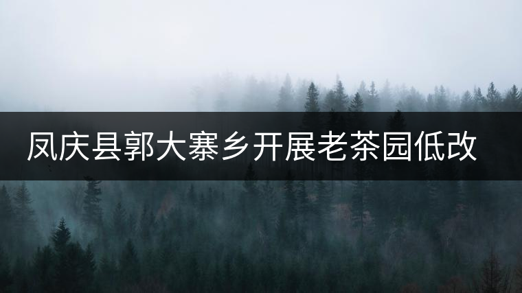 鳳慶縣郭大寨鄉(xiāng)開(kāi)展老茶園低改促進(jìn)茶園提質(zhì)增效