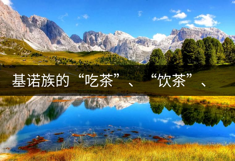 基諾族的“吃茶”、“飲茶”、“喝茶”與“敬茶”