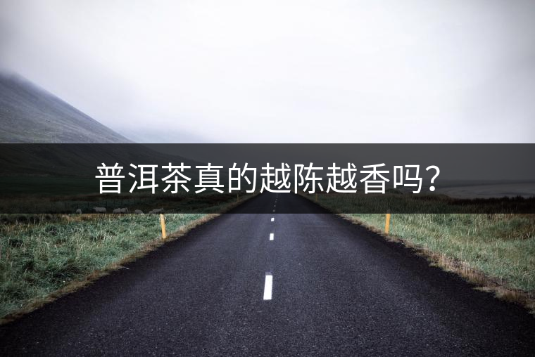 普洱茶真的越陳越香嗎？