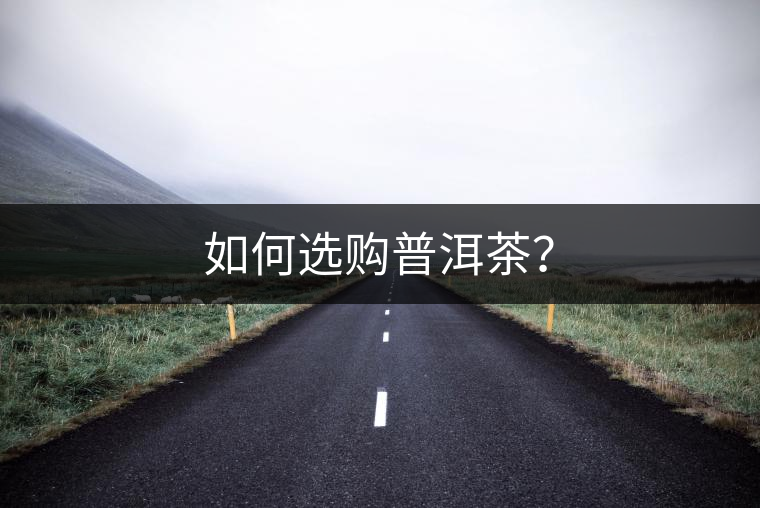 如何選購(gòu)普洱茶？