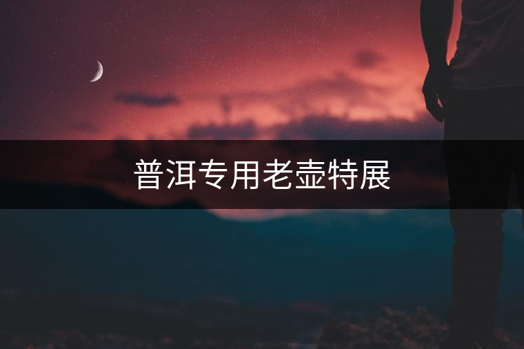 普洱專用老壺特展 普洱專用老壺特展