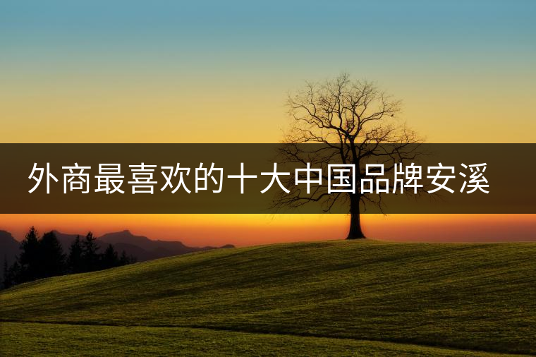 外商最喜歡的十大中國(guó)品牌安溪鐵觀音位居三甲