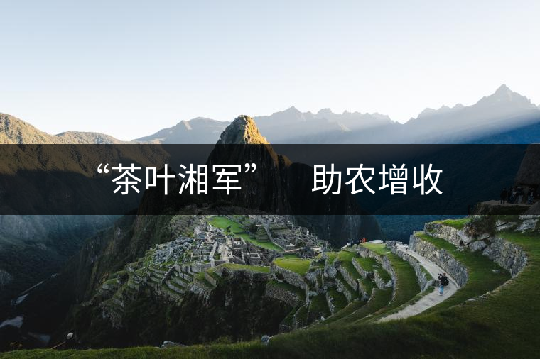 “茶葉湘軍”　助農增收