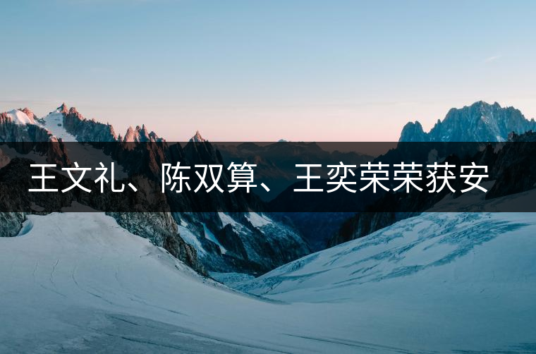 王文禮、陳雙算、王奕榮榮獲安溪茶界三杰