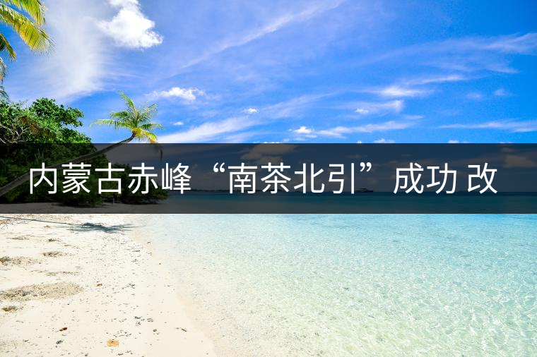 內蒙古赤峰“南茶北引”成功 改寫本地無茶歷史 內蒙古赤峰“南茶北引”成功 改寫本地無茶歷史