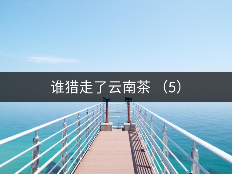 誰(shuí)獵走了云南茶 （5）