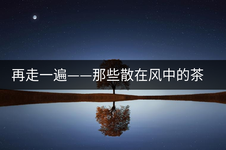 再走一遍——那些散在風(fēng)中的茶馬路 再走一遍——那些散在風(fēng)中的茶馬路