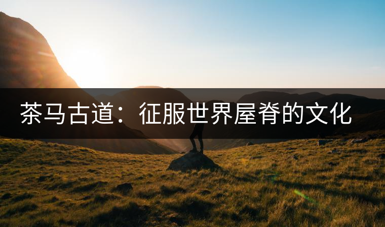 茶馬古道:征服世界屋脊的文化之脈 茶馬古道:征服世界屋脊的文化之脈
